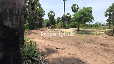 ដីលក់បន្ទាន់