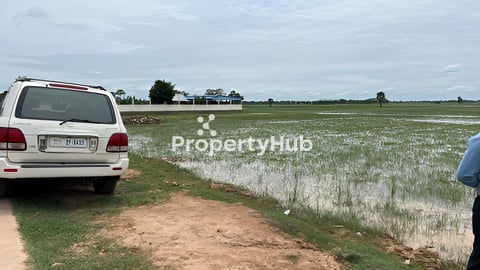 ដី សម្រាប់លក់