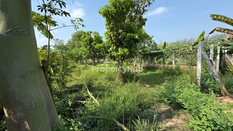 ដី​លក់​ស្រុក​កៀនស្វាយ​សង្កាត់​ឈេី​ទាល​ភូមិ​ឫស្សី​ស្រុក​