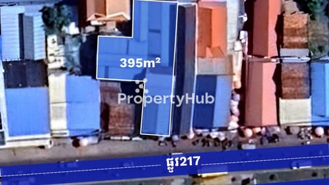 ដីផ្ទះលក់នៅលើផ្លូវ217