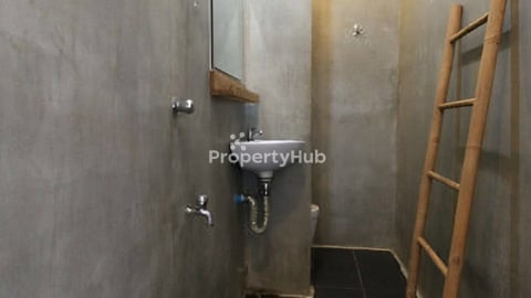 Rent , Naga , independent