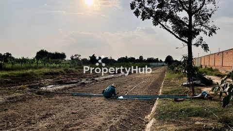 ដីចំការជាប់ផ្លូវកៅស៊ូ ៣០ម ជិតបន្ទាយសម្តេច