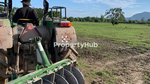 ដីស្រែជាប់ព្រែកសម្រាប់លក់ ១៣ហ