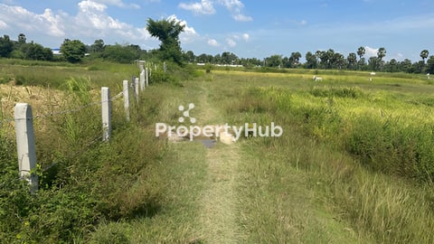 ដីលក់បន្ទាន់ ម្ចាស់ផ្ទាល់ ខាងកើតផ្លូវ៤២ (200ម)