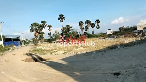 ដីឃ្លាំងកៀកផ្លូវមុនីរេត217 ដង្កោ ភព