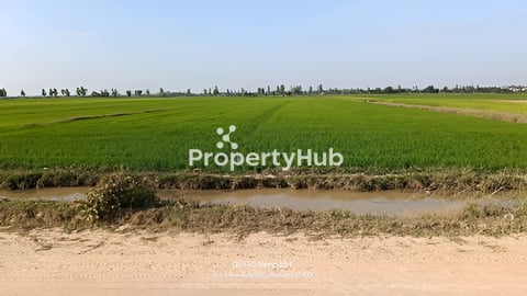 ដីស្រែលក់ចំងាយ330ម៉ែត្រ ពីផ្លូវក្រវាត់ក្រុងទី3ស្រុកពួក