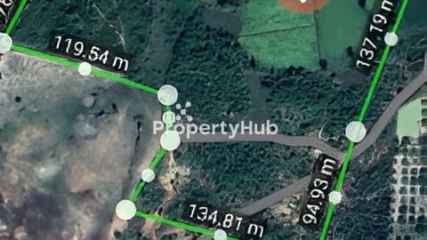 ដីចំការ ៤,៥ហិកតា ក្បែជើងភ្នំ ជាប់មាត់ស្ទឹងលក់