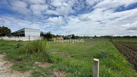 ដីចំការលក់ទំហំ 43m x 110m