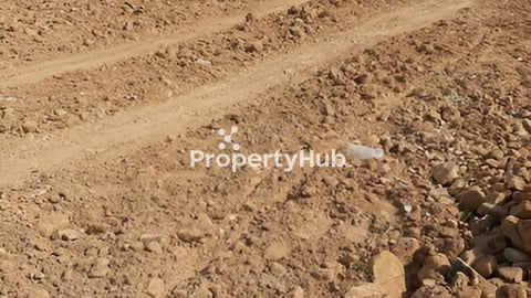 ដីជួលនៅក្រោយផ្សារកាណាស៊ីធីផ្លូវវេងស្រេង