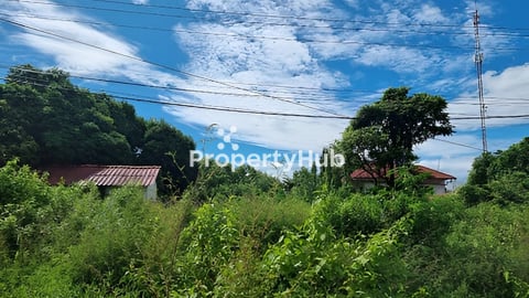 ដីជាប់ផ្លូវជាតិលេខ៣