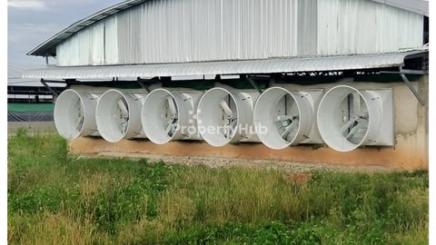 ដី+កសិដ្ឋាន23ហិចតា លក់បន្ទាន់ខ្លាំង