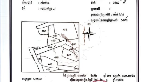 ដីលក់ស្វាយរៀង 12ហិចតាកន្លះ