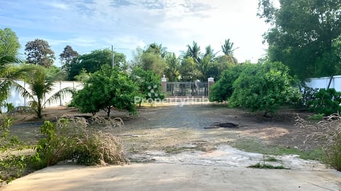 ដី​ និងឃ្លាំងលក់