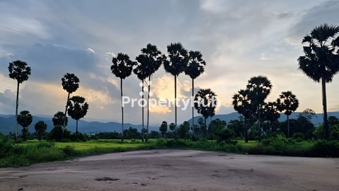 Land for sell at Kampot