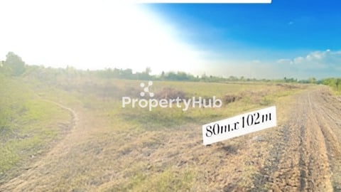 ដីលក់បន្ទាន់