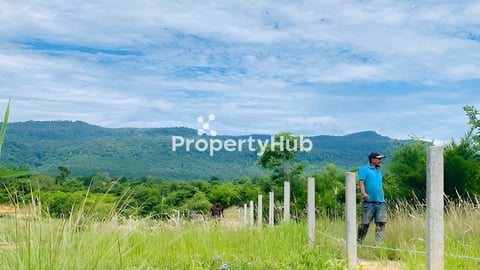 ដីលំហែជើងភ្នំ ជាប់ផ្លូវប៊េតុង បញ្ចុះតម្លៃ 3999 ភ្លាមៗ