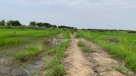 ដីកសិកម្ម