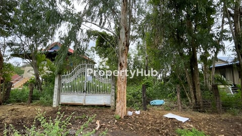 ដីលក់បន្ទាន់នៅភ្នំឧដ្គុង