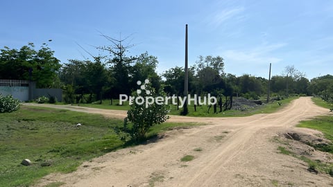 ដីក្រោយផ្សារបាត់ដឹង លក់ពីរឡូតិ៍ជាប់គ្នាចំងាយ 300 ម៉ែត្រ 6*20