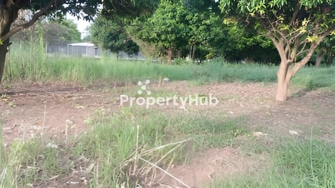 ដីជាប់ទន្លេ