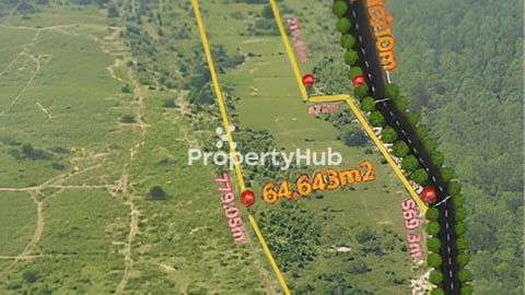 ដីបញ្ចុះតម្លៃ50% សល់តែ4.5$/m2ទេ! 6.5ha លក់ឡៃឡុង (ទិសខាងជើងភ្នំពេញ 65km ពីវត្តភ្ន