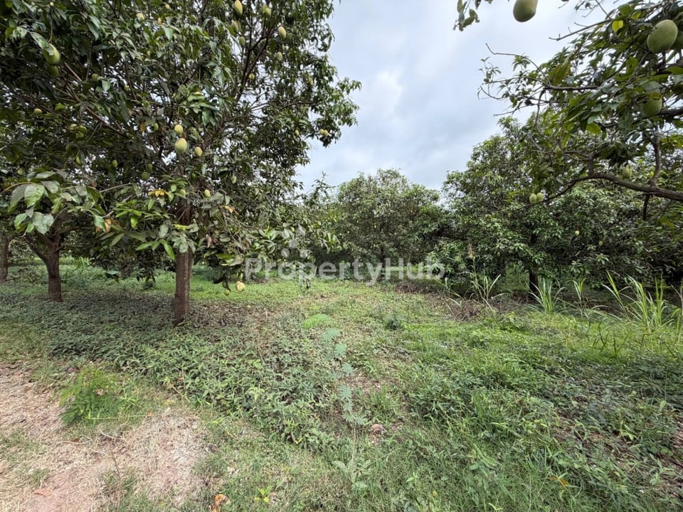 Property 3
