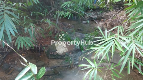 ដីចង្កេះភ្នំ មានអូរទឹកធ្លាក់ មានស្ពានថ្ម មុខដី ស្រុកស្រែអំបិល ប្លង់រឹង ទំហំ4ហាតា