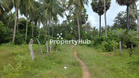 ដីសម្រាប់លក់