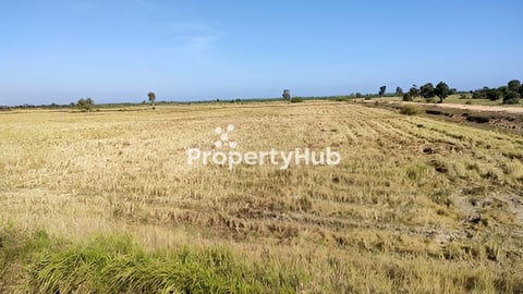 ដីស្រែត្រូវការលក់បន្ទាន់ 100 ហិកតា ជិតផ្លូវជាតិលេខ៦អា ស្រុកស្ទោងខេត្តកំពង់ធំ