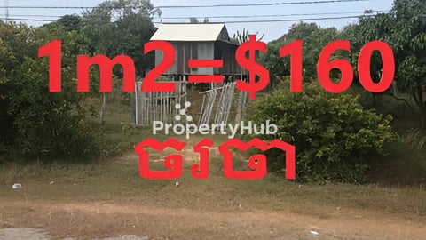 ដីជាប់ផ្លូវកៅស៊ូ 20ម ផ្លូវកែវសារ៉ាន់ ពីផ្លូវជាតិលេខ 6 ត្រឹមតែ 100ម ទេ