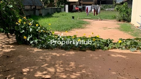 ដី ផ្លូវមុខផ្សារលើ យកហេងចុងខែ