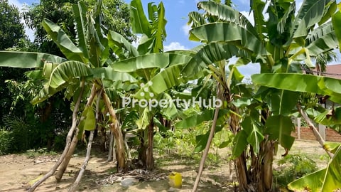 ដីលក់បន្ទាន់ខ្លាំង