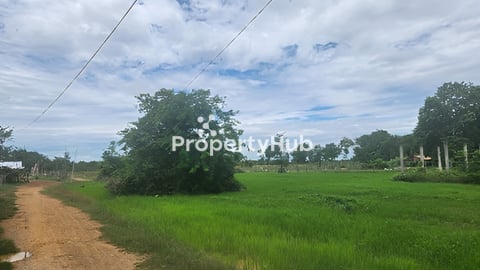 ដីលំនៅដ្ឋានលក់