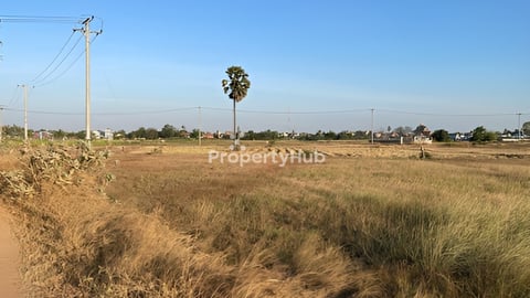 #ដីលក់បន្ទាន់ ចុះពីផ្លូវលេខ4 ចំងាយ4km