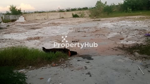 ដីលក់បន្ទាន់ លើផ្លូវកប់ស្រូវ ទល់មុខផ្លូវល្បឿនលឿន ៦៩៥ ០០០