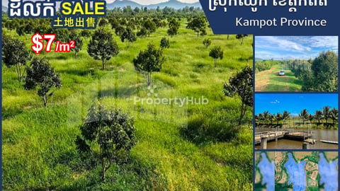 Urgent Land for Sale Along Canal, Chhouk, Kampot