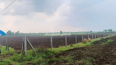 ដីនៅកុំពង់ថ្ម(ជិតមន្ទីឃុំគគីធំ)ផ្លូវកៅស៊ូតម្លៃ១ម៉ែតដើ1250$.ក្បាលដី-145×100ម៉ែត