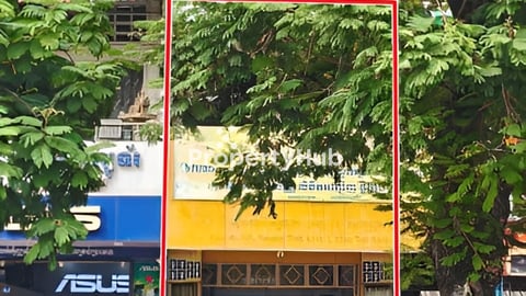 ផ្ទះអាជីវកម្មសំរាប់ជួលសន្ធរមុខ   / Business house for rent Sonthomuk