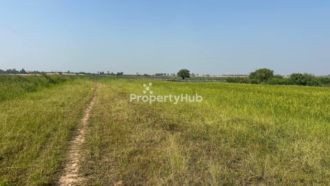 ដីលក់បន្ទាន់ព្រែកលួង ទំហំ 40m x 200m