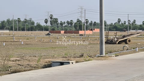 ដីលក់បន្ទាន់ លើផ្លូវបេតុងរដ្ឋ12mស្រាប់ ទំហំដី5m x 20m