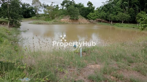 ដីលក់ ចំការស្វាយ ខេត្តកំពង់ស្ពឺ