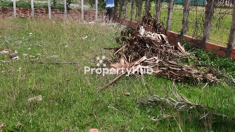 មានដីក្នុងខេត្តសៀមរាបសម្រាប់លក់