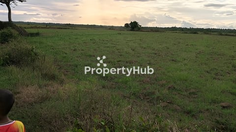 ដីលក់ក្រោមតម្លៃទីផ្សារ ៤០% ប្លង់រឹង , ជាប់ផ្លូវរដ្ឋ ១៥ម៉ែត្រ