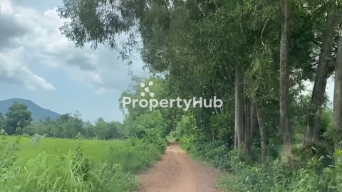 ដីលក់នៅខេត្តកែប ក្បែរសាកលវិទ្យាល័យហ៊ុនសែនចំការដូង