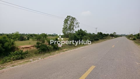 ដាច់ចិត្តលក់ហើយបងប្អូន ពីមុនលក់មួយការ៉េ5$