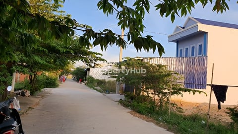 ដីឡូត៍ សម្រាប់លក់