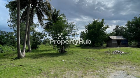 ដីលក់ស្រុកភ្នំស្រួច 1m2 38$ ចរចារ