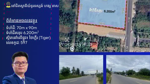 ដីកែងលក់នៅលើផ្លូវTiger ជិតស្ថានីយទូរទស្សន៍ ហង្ស មាស