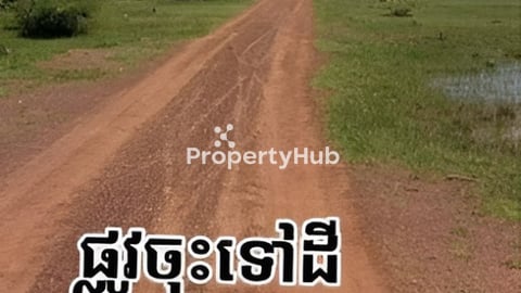 ដីកែងលក់បន្ទាន់10m×20mជិតភ្នំឧដ្ដុង តំបន់ជិតរោងចក្រតម្លៃក្រោមទីផ្សារ50%