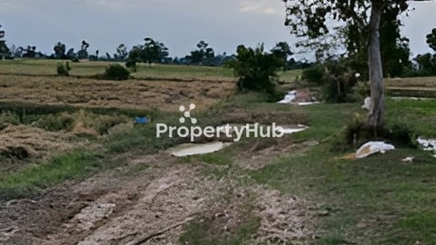 ដីលក់បន្ទាន់តម្លៃក្រោមទីផ្សារ